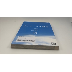 Your Name - Tome 1