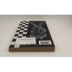 Mabinogi - Tome 2