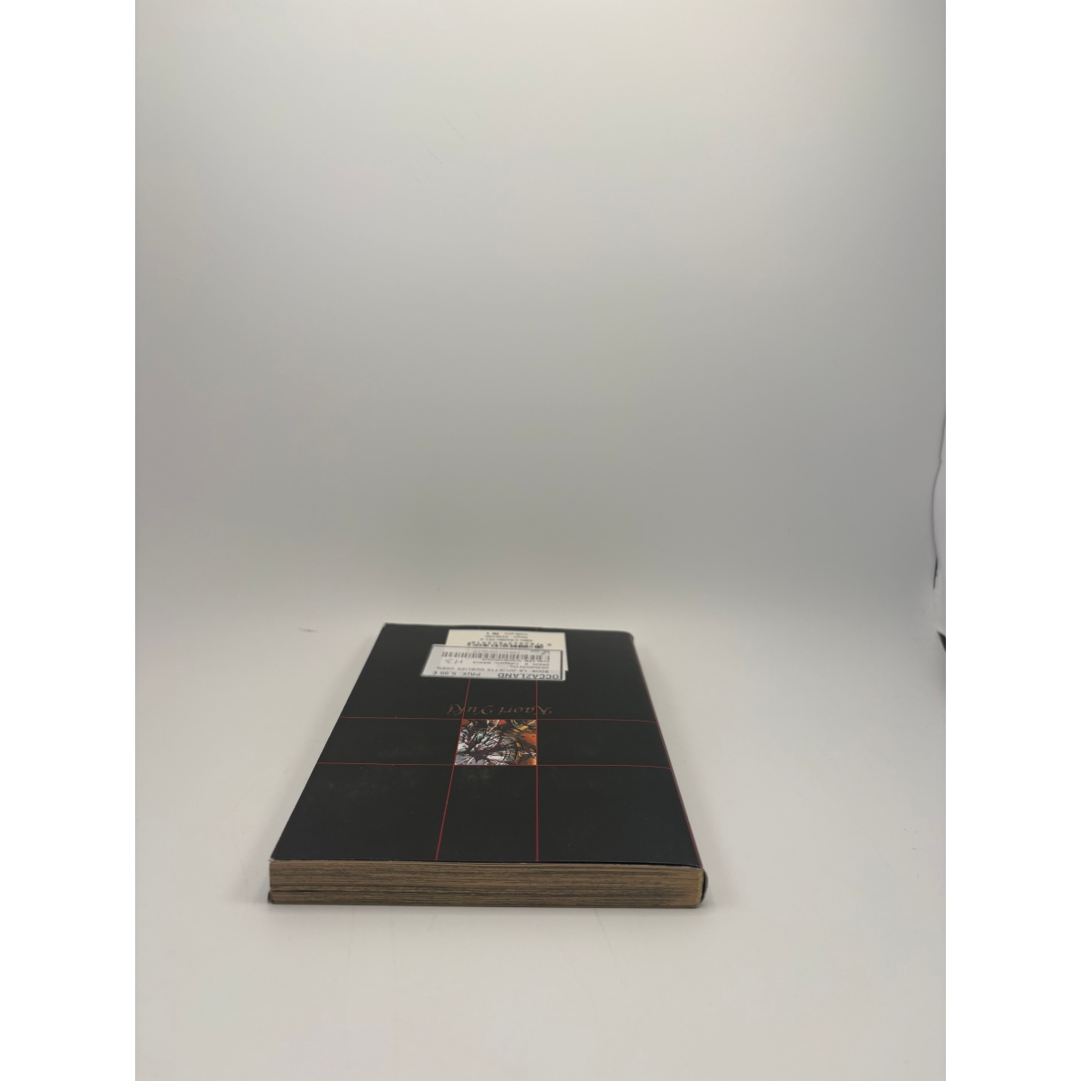 La Juliette oubliée - Comte Cain, tome 1