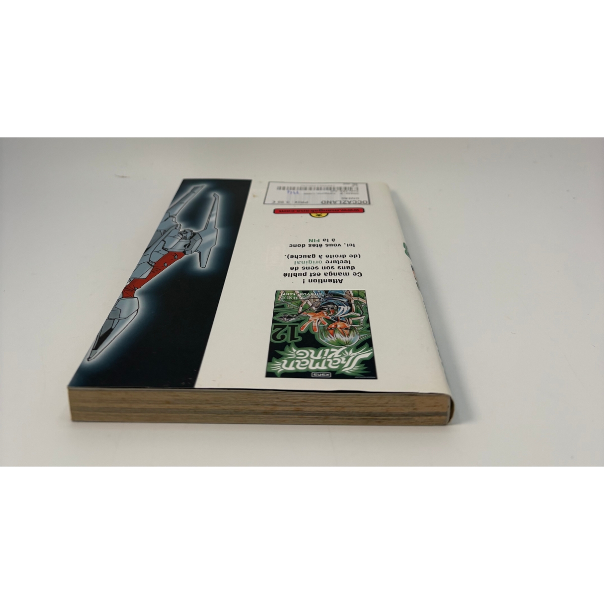 Shaman King Tome 12