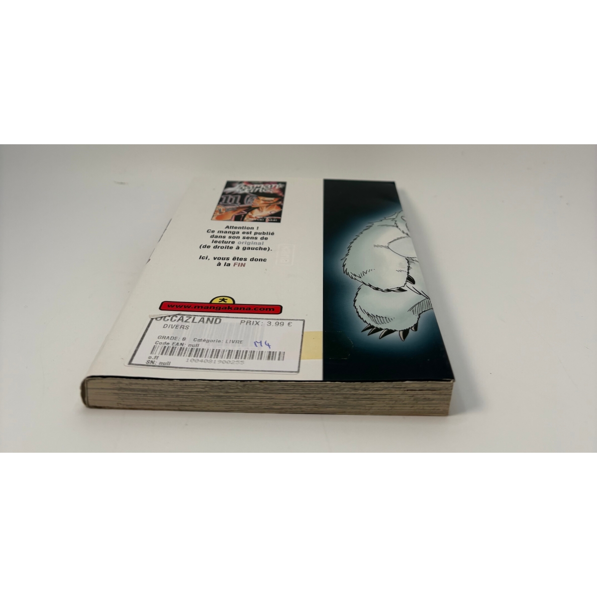 Shaman King Tome 11
