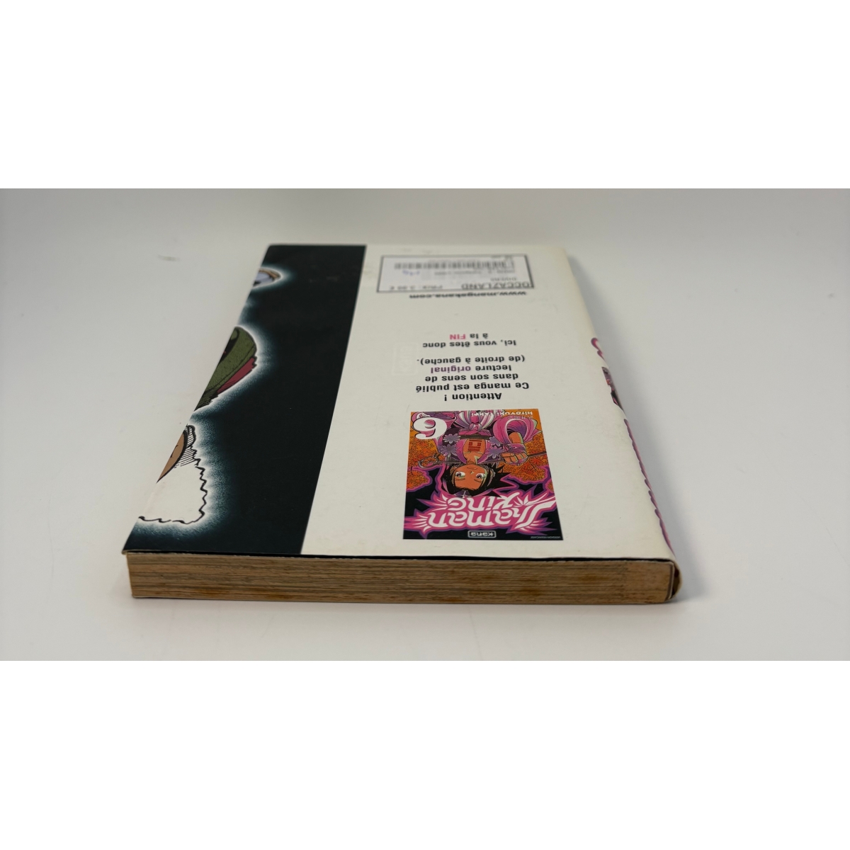 Shaman King Tome 6